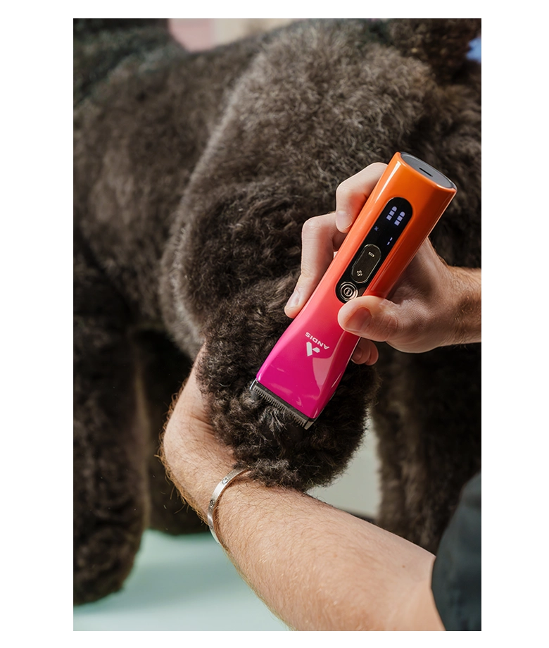 Andis ProClip 5-in-1 Animal Clipper | Sunset