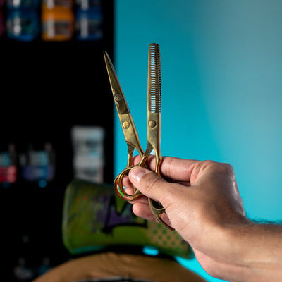 Rolda - Hair Cutting Scissors and Thinning Shears